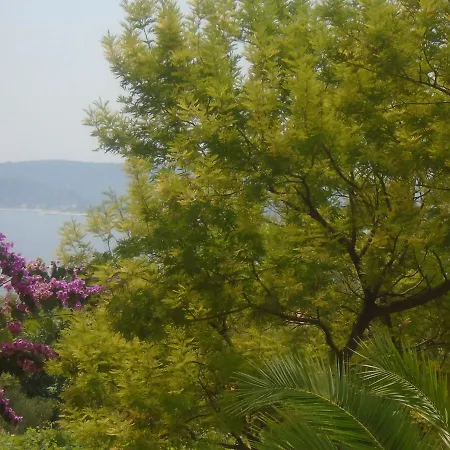 Apartment With Parking Space Orebic, Peljesac - 14842 Orebic