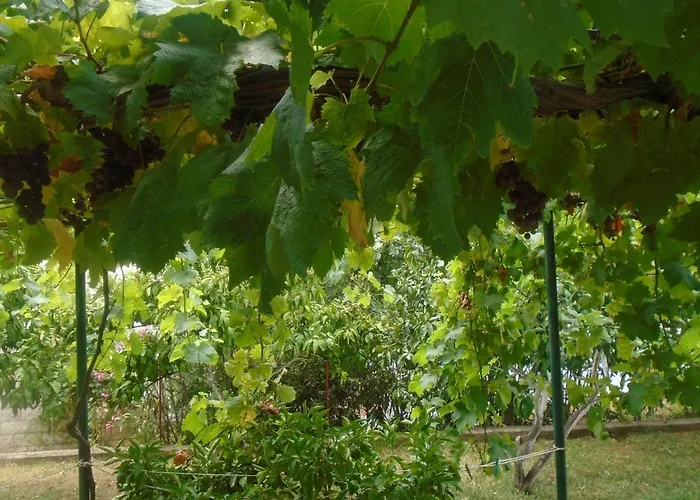 With Parking Space Orebic, Peljesac - 14842 *